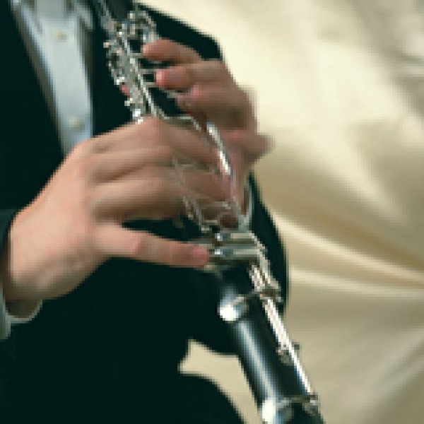 画像1: クラリネット